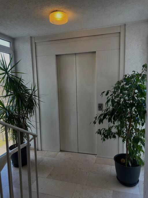 Penthouse Apartment In Kehl Екстер'єр фото