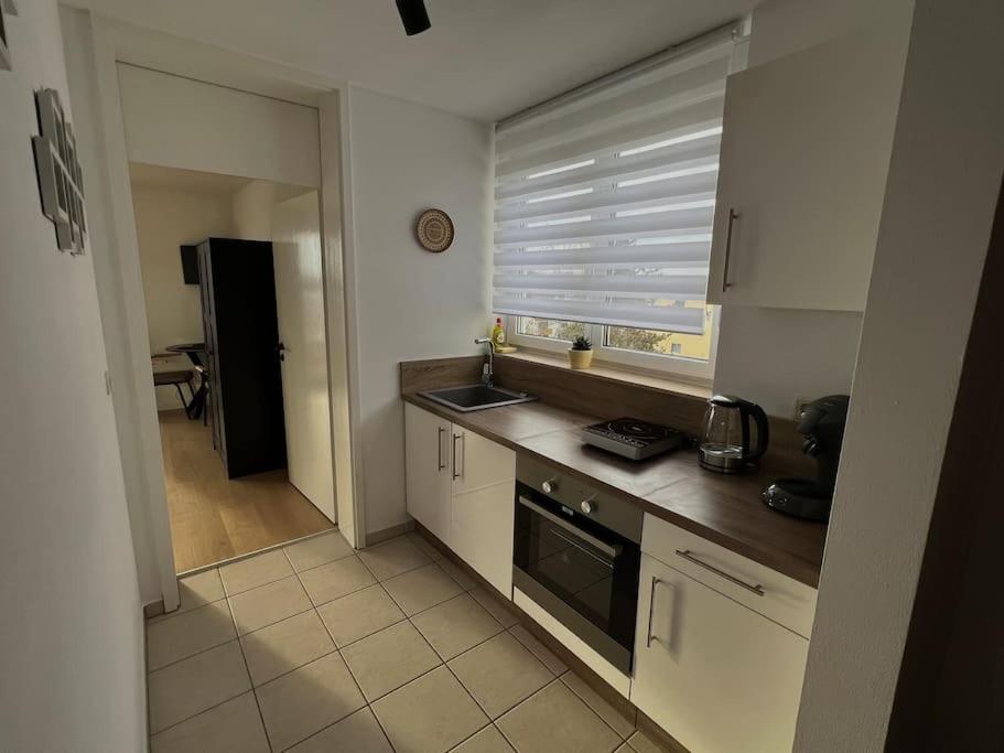 Penthouse Apartment In Kehl Екстер'єр фото